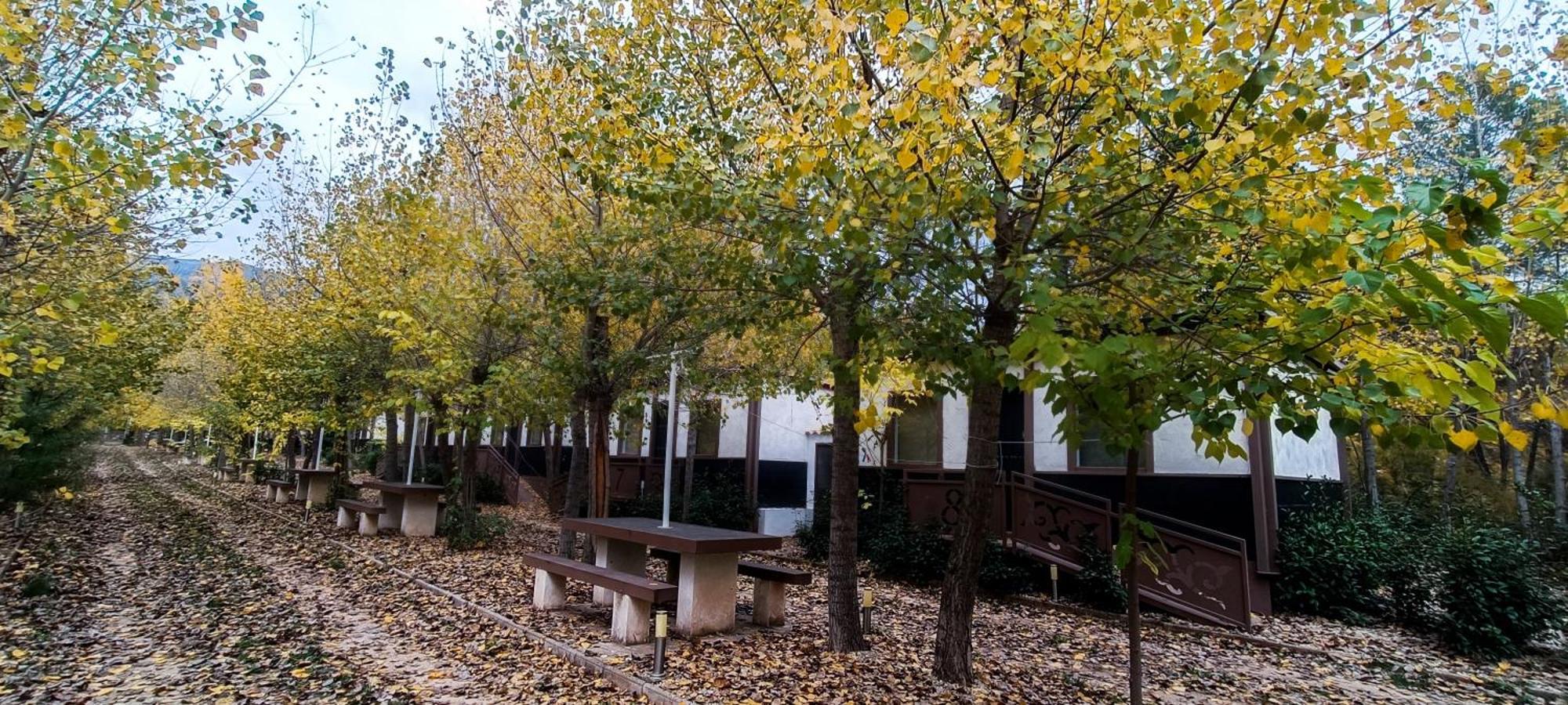 Casas Rurales Vado Del Rio Tus Cortijo Prados エクステリア 写真